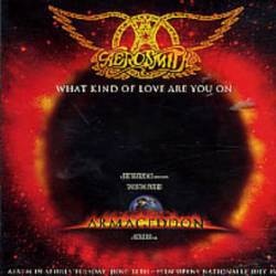 Aerosmith : What Kind of Love Are You on